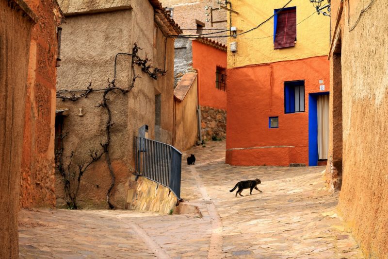 Foto news 124